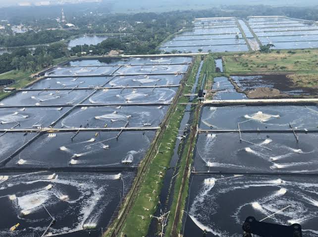 Sonamukh Hatchery Slider Image